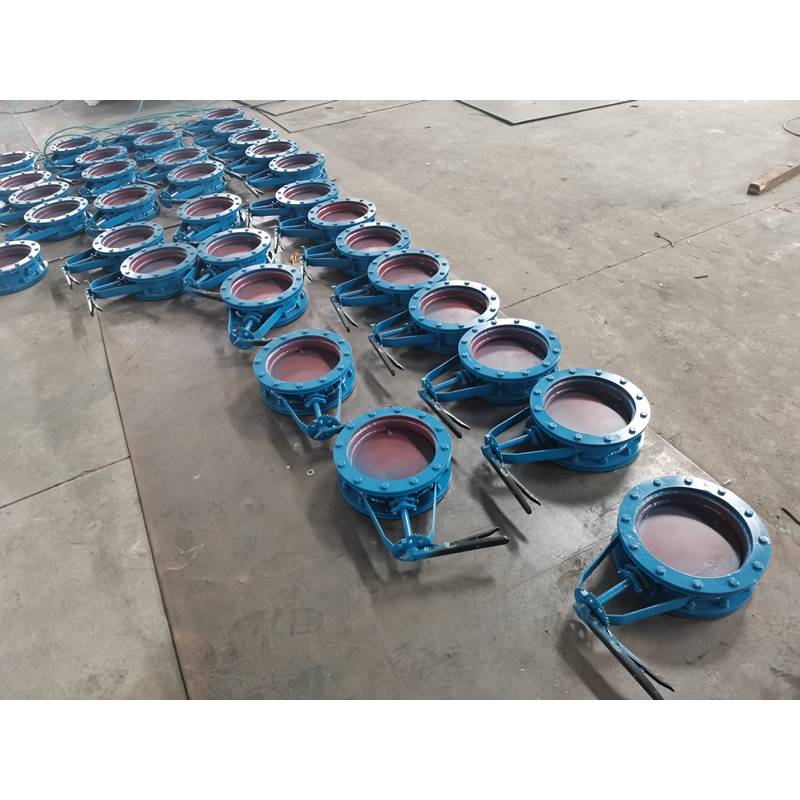 Manual air release valve