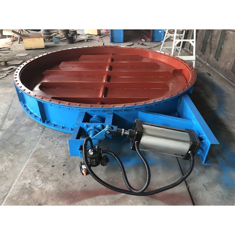 Pneumatic switch air valve