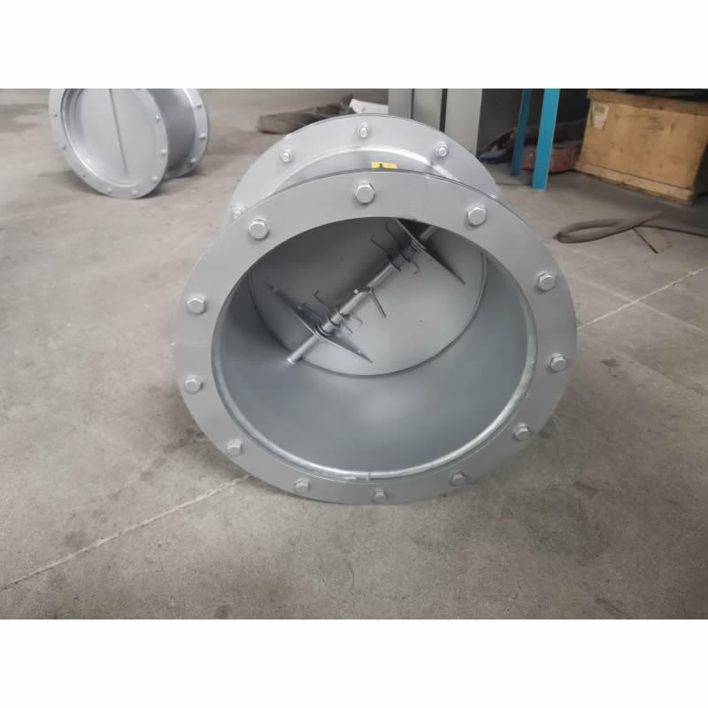 Flue gas check valve